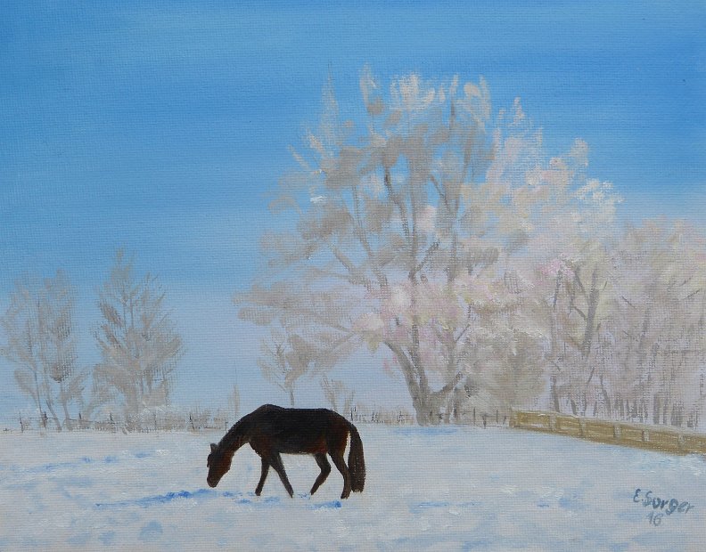 Winter am Koppel