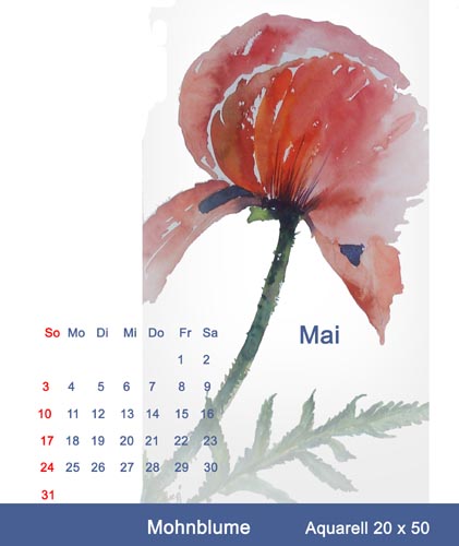 05mai