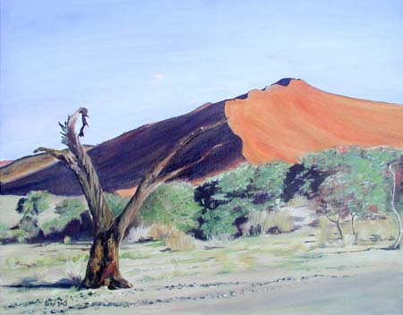 Sandduene-Namibia