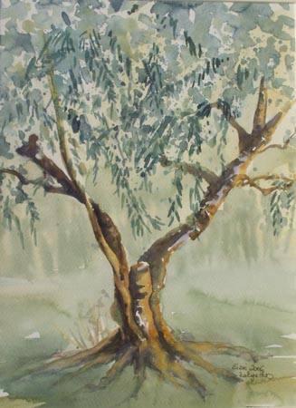 Einsamer-Olivenbaum