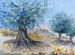 Olivenbäume in Rhodos