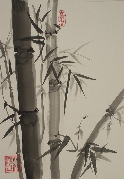 55-Bambus